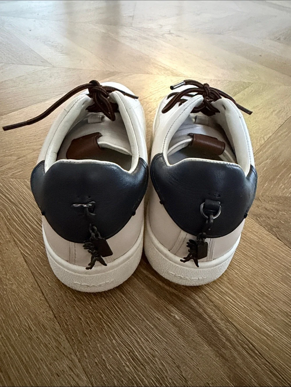 Coach low top sneakers